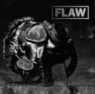 Flaw86