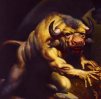 bull78