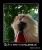 Капитан Кузя