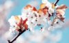 oliay_87