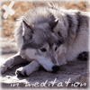 Ruslan_Wolf