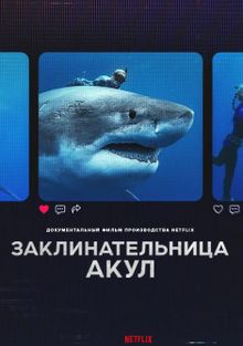  , 2025