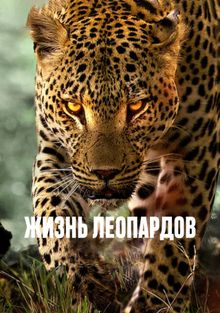  , 2024