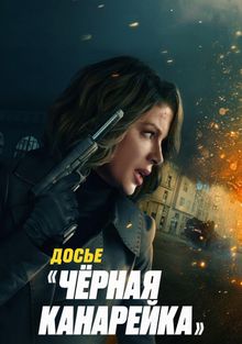 Досье «Чёрная канарейка», 2024