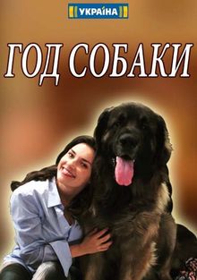 Год собаки, 2018