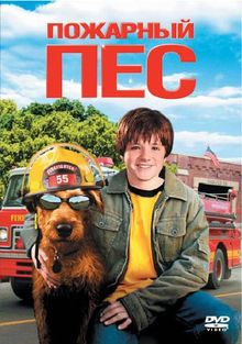  , 2006