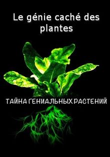 Тайна гениальных растений, 2023