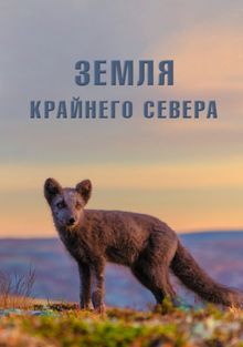 Земля Крайнего Севера, 2020