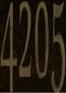 4205