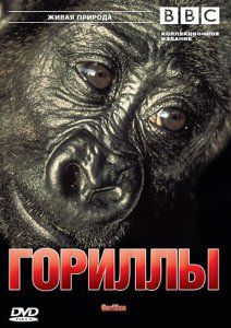 : , 2002